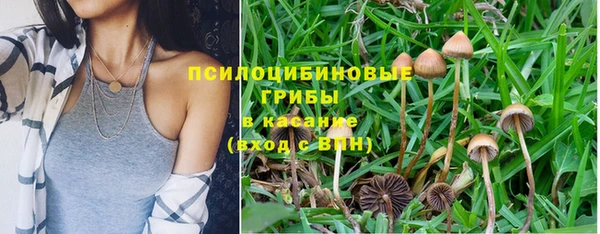 дурь Балахна