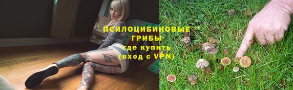 дурь Балахна