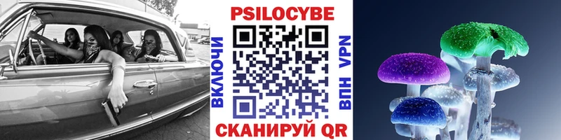 кракен как войти  цены наркотик  Куровское  Псилоцибиновые грибы мухоморы 
